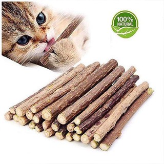 10pc Catnip Stick Cat chew stick Natural Mint Stick Cat Teeth Molar Cleaning Care Actinidia