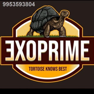Exoprime tortoise food 500g