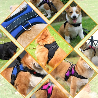 Reflective Dog Harness Adjustable Collar Leash Dog Leads Pet chest harness (3)