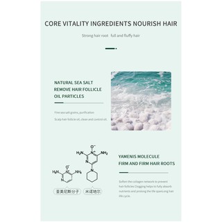 Sea Salt Anti Dandruff Shampoo Anti Dandruff Hair Treatment Care Shampoo Hair Treatment Hair care (4)