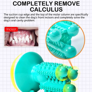 Dental Chew Toys for Dogs Healthy Fresh Puppy Teeth Cleaning Brush Cactus Large Breed Dog Molar Toot (9)