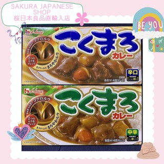 House Kokumaro Curry bar 140g (for 8plate) (1)