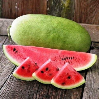 10pcs Seeds Watermelon Charleston Grey Vegetable Planting Organic Heirloom Ukraine