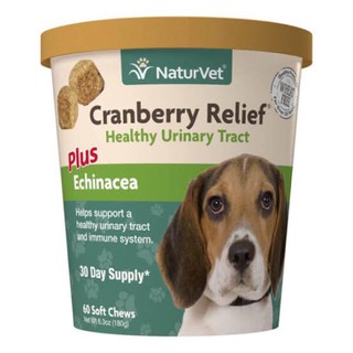 [ON HAND] NaturVet Cranberry Relief Plus Echinacea Soft Chews for Dogs, 60 count