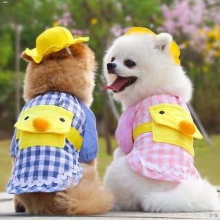 Pet Clothing & Accessories✚☢☈▦₪﹍Kindergarten Dog Clothes Cat Summer Thin Teddy Funny Pet Spring Summ