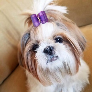 ⊕✗✷10Pcs Pet Dog Hair Bows Assorted Accessories With Rubber Bands Christmas Gift