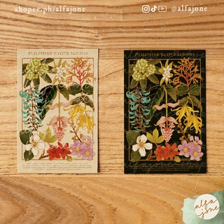 Philippine Native Blooms Floral Postcard (4x6") by alfajone