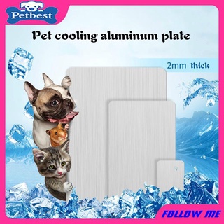 Summer Cold Pet Mat Hamster Cooling Plate Rabbit Chinchilla Heat Dissipation Aluminum Plate