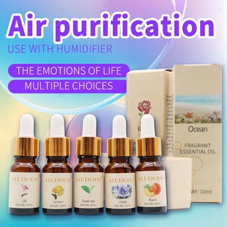Essential Oil Fragrant Water Soluble Companion Various Fragrances Air Purification Essential Oil