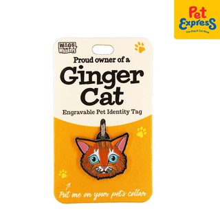 Wags and Whiskers Pet Identity Tag Ginger Cat