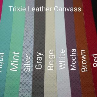 Trixie Canvas faux leather