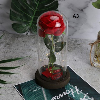 Red Rose Glass Dome With Wooden Base For Valentine's Gifts (3)