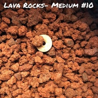 LAVA ROCK / VOLCANIC ROCK 1KG pack