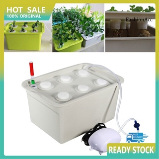 ❂FYY❂Indoor 6 Holes Hydroponic System Soilless Cultivation Plant Nursery Box Grow Kit