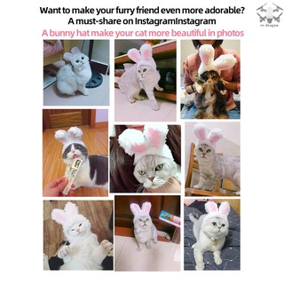 Cute Pet Rabbit Ears Hat for Cat Cosplay Clothes Fancy Pet Bunny Cap Halloween Easter Birthday Photo Shoot Dress for Cat (9)