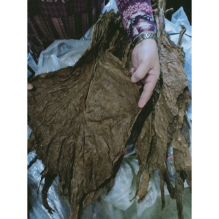 NATURAL DRIED LEAVES/tabako
