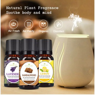 Elegant Life Plant Scented Oil Aromatherapy Water-soluble 10ml