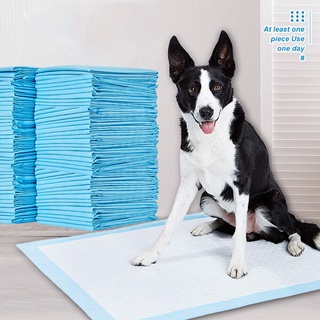 ☞Disposable Healthy Dog Nappy Mat Thickening Absorbent Pet Diaper Puppy Cat Training Pee Pads Traini