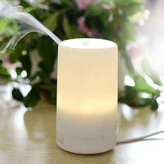 Winners shop:LED Night Light Fragrance Diffuser Protecting Airpurifier