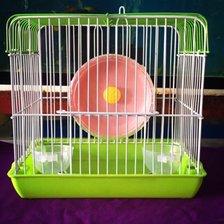 COD Hamster Cage #1 (for 1pair dwarf hamster) read description below