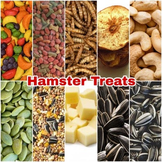 Hamster Rabbit Hedgehog food snack sunflower seeds cashew nuts apple fruits (1)