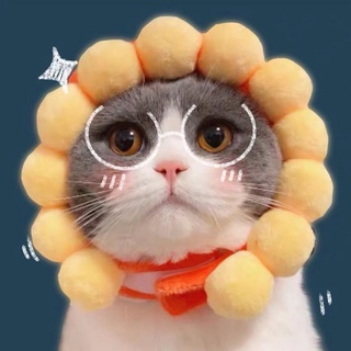 Cat headgear, cute rabbit ears, Christmas hat, cat rabbit, Christmas outfit, pet cat 8.12 (1)