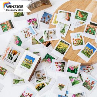 Winzige 46Pcs Tulip Stickers Set Scrapbooking BUJO Planner Flower Stationery
