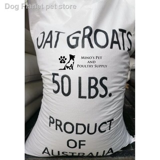 ┋☃✻Oat Groats seeds for Birds and Hamster (1)