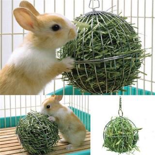 Sphere Feed Dispense Exercise Hanging Hay Ball Guinea Pig Hamster Rabbit Pet Toy