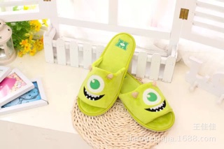 Character slippers (6)