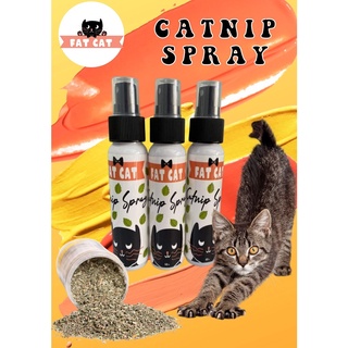 Fat Cat Catnip Spray for Cat