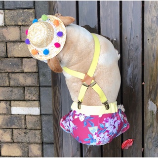 Pet HatsJarre Aero Bull Straw Hat Pug Straw Hat Pet headdress Dog hat Pet Dog Straw Hat Photo Props