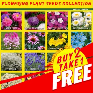 FLOWERING PLANT SEEDS COLLECTION (Lavender Marigold Cosmos Zinnia Sunflower Aster Snapdragon Daisy)
