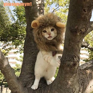 （Yixuanmaoym1）Pet dog hat costume lion mane wig for cat halloween dress up with ears