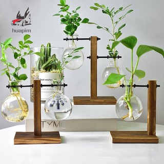 Table Desk Bulb Glass Hydroponic Vase Flower Plant Pot with Wooden Tray Office Decor