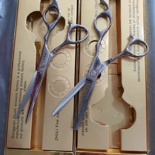 PROFESSIONAL SCISSORS EH STAINLESS STEEL (1)