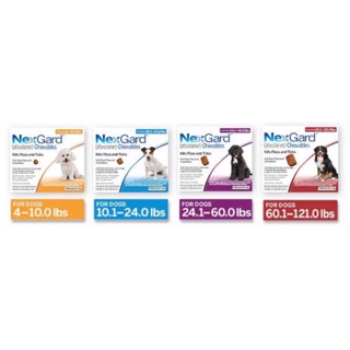 NexGard - flea and tick preventative chewables for dogs