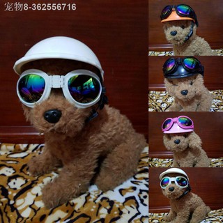 ﹉✓Pet Safety Helmet Dog Cat Headgear Shades Goggles