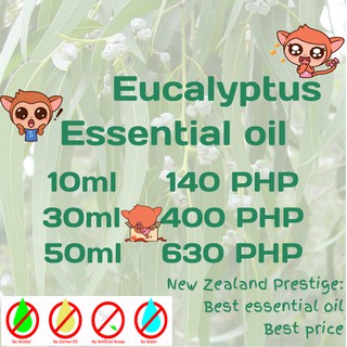 Eucalyptus Essential Oil (Pure) (2)