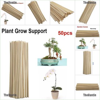 [TheVantin] 50pcs Wooden Plant Grow Support Bamboo Plant Sticks for Flower Stick Cane Stand (1)