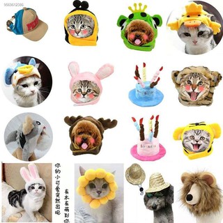 Cat hats pet birthday hats birthday hats for cats and dogs (2)