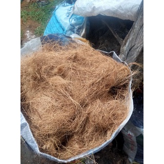 1 kilo coco fiber coir/husk