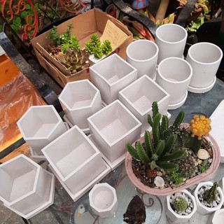 Large Cement Pots (Square/Hexagon/Circle) kindly inform the seller for the color (white unavailable)