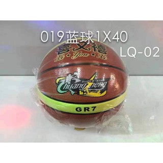 Basketball Ball Outdoor/Indoor Training Ball