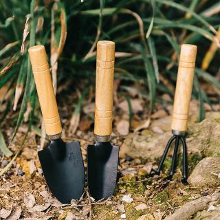 3PC/set Mini Garden Hand Tool Kit / Plant Gardening Shovel Spade Rake /Mini Garden Garden Tools /Shovel Planting Tools with Wood Handle Metal Head for Gardener