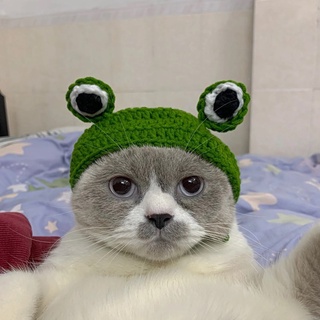 Cat headgear cartoon frog shape hand-knitted crochet cat and dog performance head accessories pet h (8)