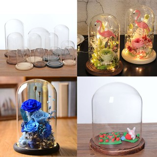 Glass Cover Display Dome for Home Wedding Christmas Decor DIY Supplies Chiwanji Home Decor Doll Display (1)