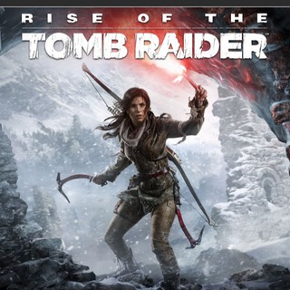 Rise Of The Tomb Raider PC Games/DVD Installer | Game Installer For PC | PC Games/DVD Installers
