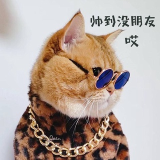 cat sunglasses pet pet sunglasses Pet sunglasses cat toy dog with glasses small dog photo Internet c
