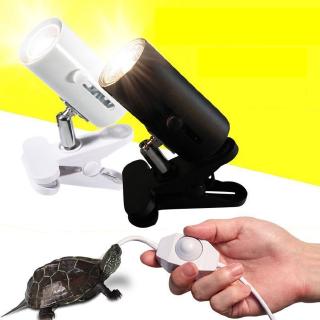UVB + UVA Reptile Lamp Kit with Clip-on Ceramic Light Holder Turtle Basking UV Heating Lamp Tortoises Lizards Lighting